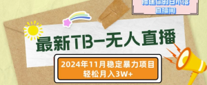 11月最新TB无人直播技巧揭秘：打造日不落直播间，轻松实现月入过万-小伟资源网