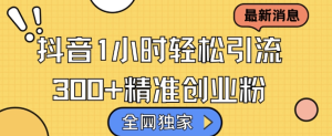 揭秘抖音引流秘籍：日增300+精准创业粉的独家技巧-小伟资源网