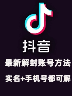 2024年11月抖音账号解封与实名解除实操指南：成功解封2个账号-小伟资源网