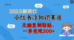 2025小红书冷知识赛道:轻松复制粘贴,单笔变现300+-小伟资源网