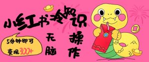 小红书冷知识账号:5分钟复制粘贴,轻松变现3张-小伟资源网