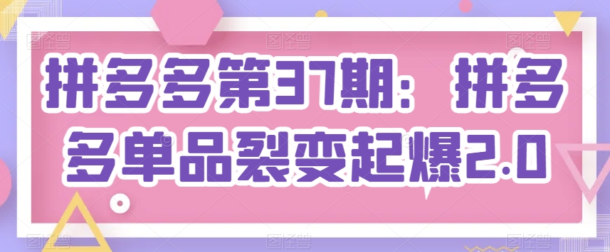 拼多多单品裂变2.0：37期爆款打造秘籍-小伟资源网