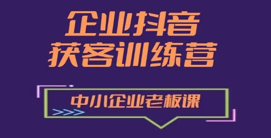 中小企业抖音营销实战课：快速获客增长必修指南-小伟资源网