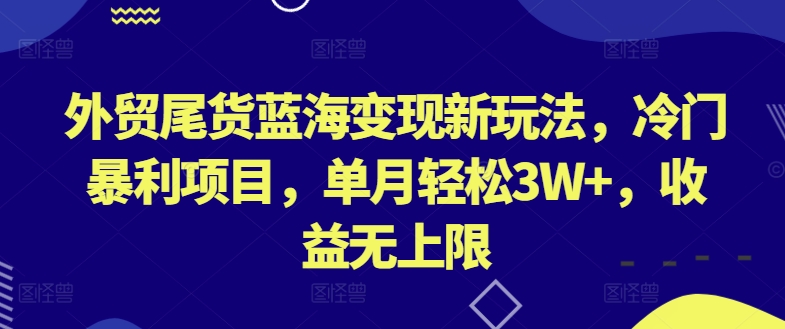 \”外贸尾货暴利玩法：月入3W+的冷门蓝海项目大揭秘\”-小伟资源网