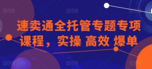 速卖通全托管爆单实操课：高效运营技巧专项培训-小伟资源网