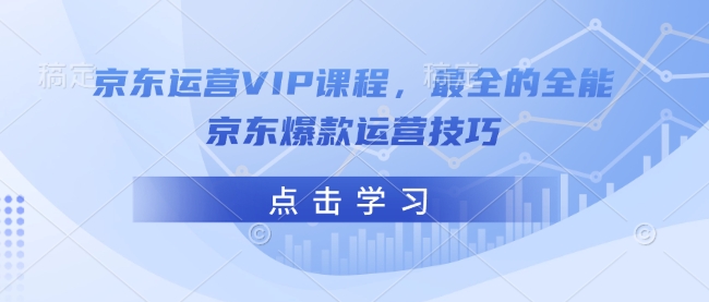 \”京东爆款运营VIP课：从入门到精通的全能实战技巧\”-小伟资源网