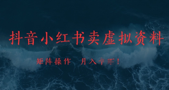 \”抖音小红书虚拟资料变现：矩阵运营月入过万，市场需求旺盛\”-小伟资源网