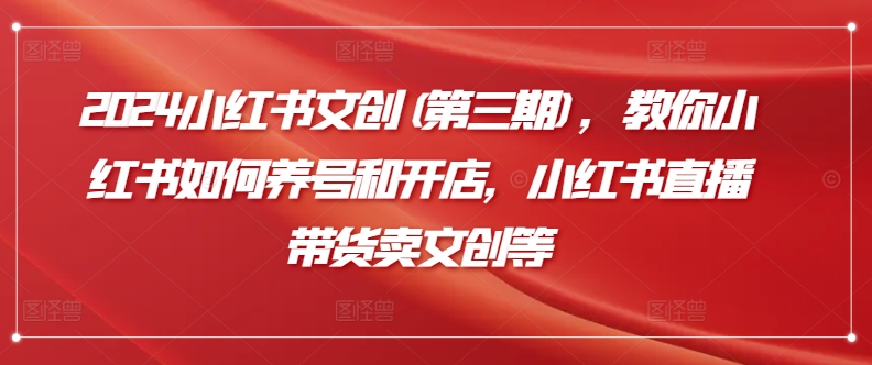 2024小红书文创运营指南：养号开店+直播带货全攻略-小伟资源网