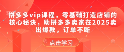 \”拼多多零基础爆店秘籍：2025年打造持续热卖店铺核心技巧\”-小伟资源网