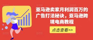 亚马逊百万利润广告打法揭秘：跨境电商爆单实战教程-小伟资源网