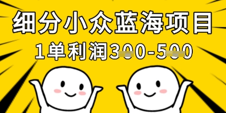 \”小众蓝海项目：单笔利润300元，月入轻松破万\”-小伟资源网