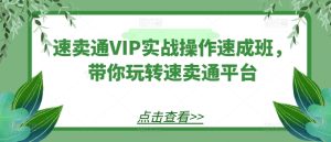 《速卖通VIP实战速成班：轻松掌握平台运营技巧》-小伟资源网