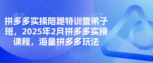 \”2025拼多多实战弟子班：海量玩法陪跑特训营\”-小伟资源网