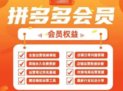 2025拼多多40节运营实战课：从入门到精通的全链路教学-小伟资源网