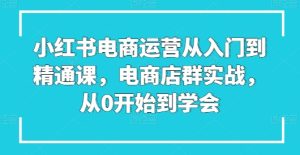 《小红书电商运营实战课：零基础入门到精通，店群玩法全掌握》-小伟资源网