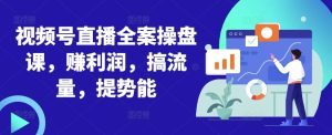 《视频号直播变现全攻略：流量增长+利润提升实战课》-小伟资源网