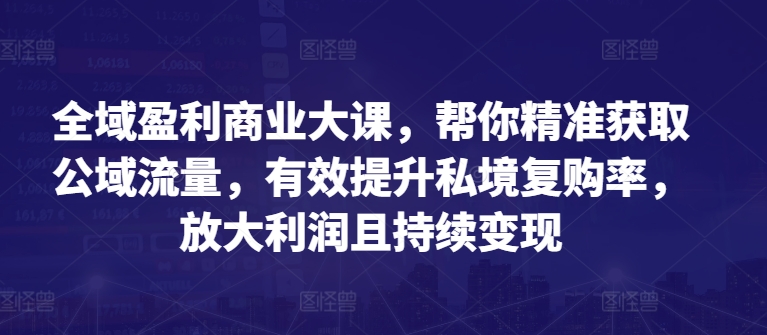 \”全域盈利实战课：公域引流+私域复购，利润倍增变现术\”-小伟资源网