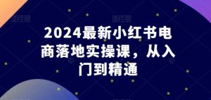 2024小红书电商实战课：零基础速成到高阶运营-小伟资源网