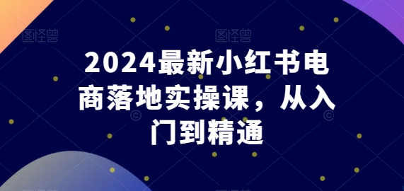 2024小红书电商实战课：零基础速成到高阶运营-小伟资源网