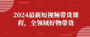 2024短视频带货实战课：全领域爆款攻略-小伟资源网