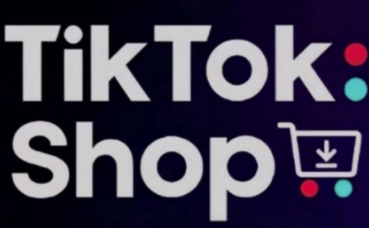 \”TikTokShop跨境电商0-1低成本出海实战指南\”-小伟资源网