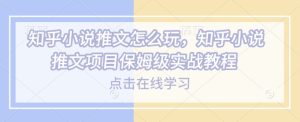 知乎小说推文实战指南：从入门到精通的保姆级教程-小伟资源网