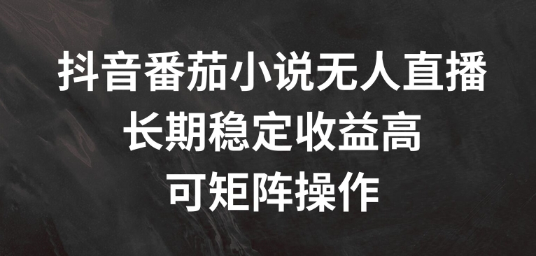 \”揭秘抖音番茄小说无人直播：高收益稳定矩阵玩法\”-小伟资源网