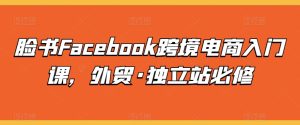 《Facebook跨境电商必修课：外贸独立站运营入门指南》-小伟资源网