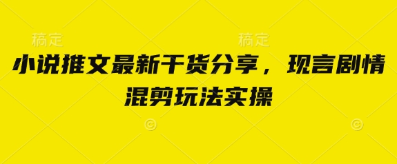 \”现言小说推文实操：剧情混剪玩法全解析\”-小伟资源网