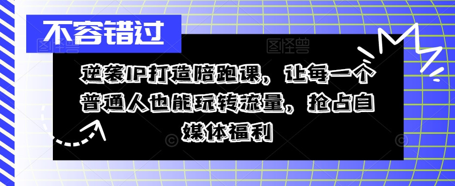 普通人逆袭指南：零基础玩转流量，抢占自媒体红利-小伟资源网