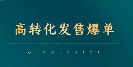 私域爆单秘籍：高转化全链运营策略-小伟资源网
