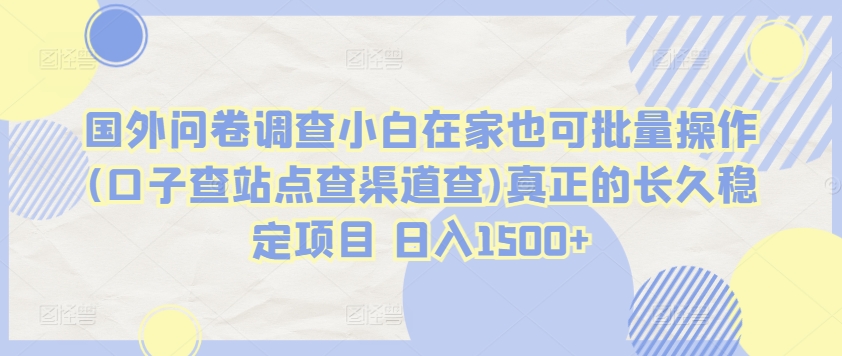 \”海外问卷项目揭秘：新手在家日赚1500+的稳定渠道与操作技巧\”-小伟资源网