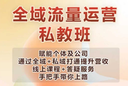\”全域+私域流量变现课：助力企业与个人打通渠道提升收益\”-小伟资源网