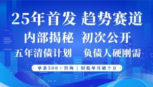 2025年新赛道首发：事业型风口，客源爆满月入轻松破万-小伟资源网