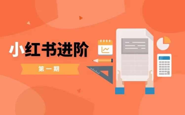 \”小红书变现实战课：零基础小白快速进阶指南\”-小伟资源网
