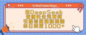 AI神器DeepSeek打造哪吒走秀爆款，单日吸金破千-小伟资源网