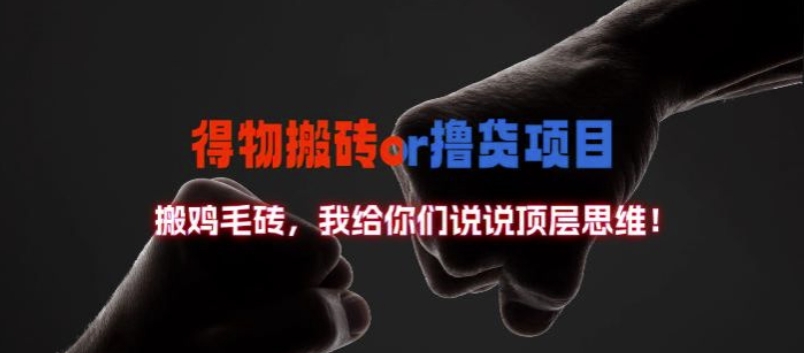 \”得物搬砖项目数据揭秘：顶层思维全解析\”-小伟资源网