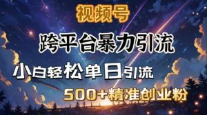 暴力引流+私域闭环：日引500+精准创业粉实战攻略-小伟资源网