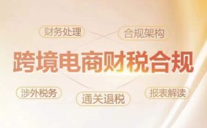 跨境财税合规实战课：风险规避与利润倍增策略-小伟资源网