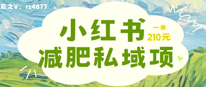 \”小红书减肥粉私域变现：单笔赚210元，新手速成指南【揭秘】\”-小伟资源网