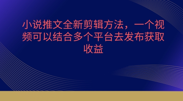\”小说推文多平台剪辑秘籍：一视频多渠道发布技巧大公开\”-小伟资源网