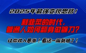 2025年普通人逆袭指南：从韭菜到镰刀的财富变现秘籍-小伟资源网