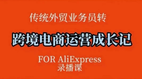 \”速卖通跨境电商运营课：方法论+实操，轻松掌握后台操作技巧\”-小伟资源网