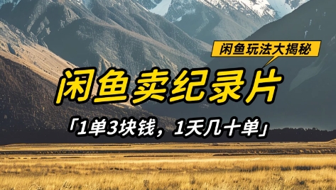 \”闲鱼卖纪录片日赚百元，3元1单稳定项目揭秘\”-小伟资源网