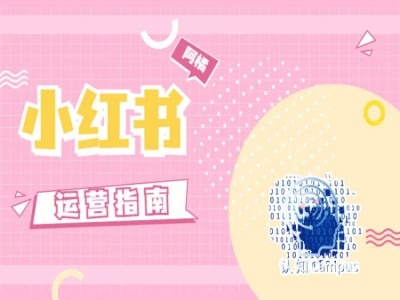 小红书运营干货：零套路纯经验分享-小伟资源网