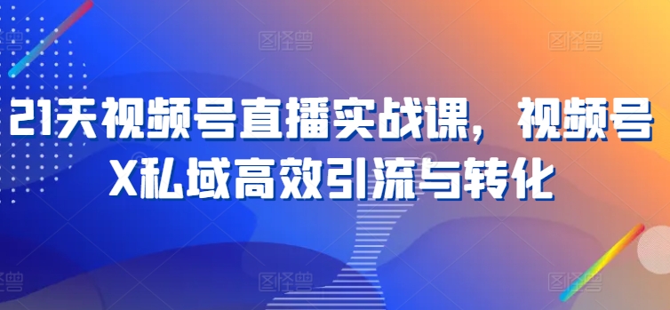 21天玩转视频号直播：私域引流与高效转化实战课-小伟资源网