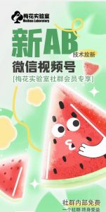 2024梅花实验室：AB技术视频号合成破解全解析-小伟资源网