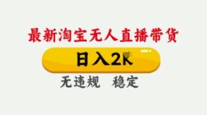 淘宝无人直播日赚千元秘诀：防封号技术大公开-小伟资源网