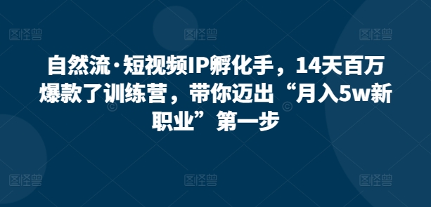14天打造百万爆款短视频IP，轻松开启月入5W新职业-小伟资源网