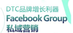 Facebook Group私域运营：DTC品牌高效增长新策略-小伟资源网